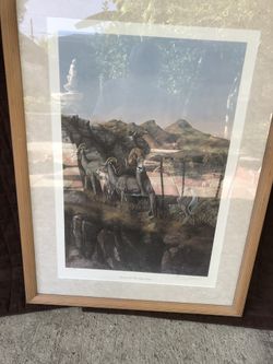 Framed “Rams” Portrait
