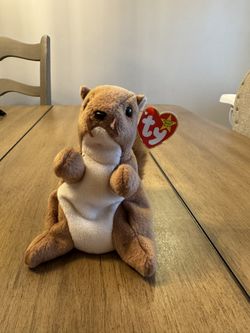 Ty Beanie Baby named Nuts the Squirrel.
