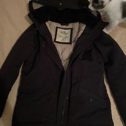 Hollister Puffer Jacket