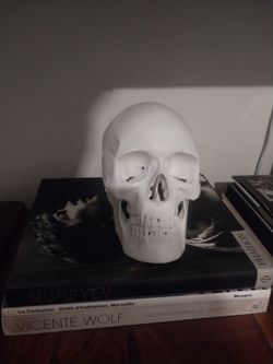 McQueen Skull