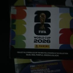 FIFA Sticker 