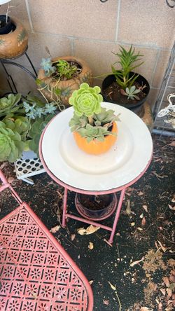 Real plant
