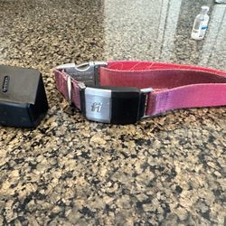FI GPS Dog Collar - Series 2