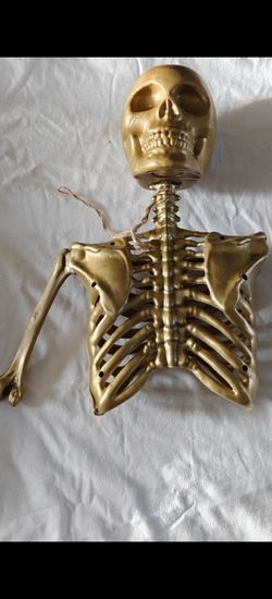 Golden skeleton torso prop