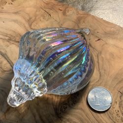 Iridescent Glass Seashell