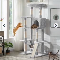 Cat post