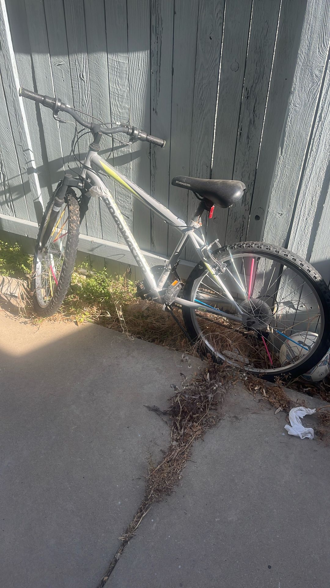 Road master Mountain Bike