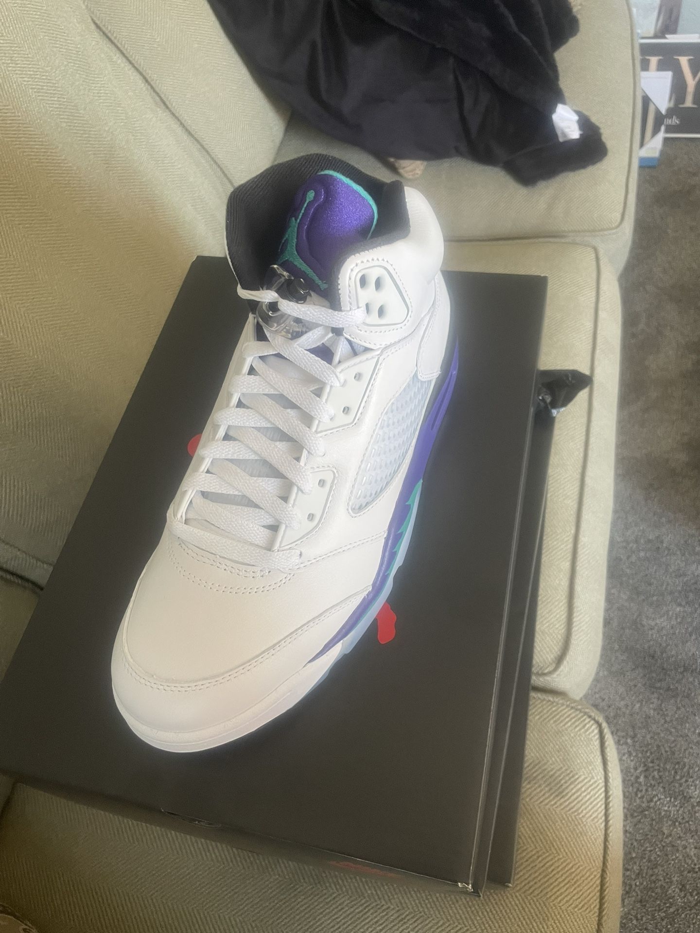 2025 Air Jordan retros 5 grapes