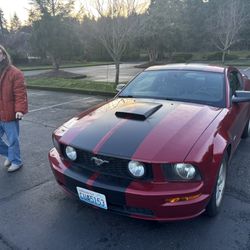 2008 Ford Mustang