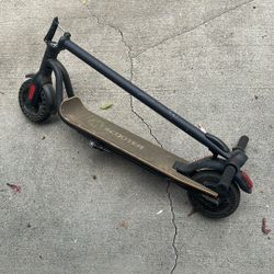 Scooter ( Adult Size)