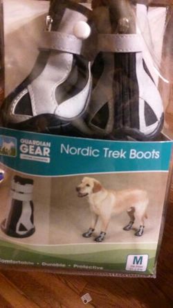 Dog boots