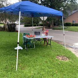 Ozark Trail 10x10 Slant-Leg Canopy - Quick Setup