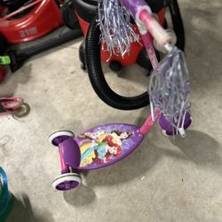 Princess Scooter