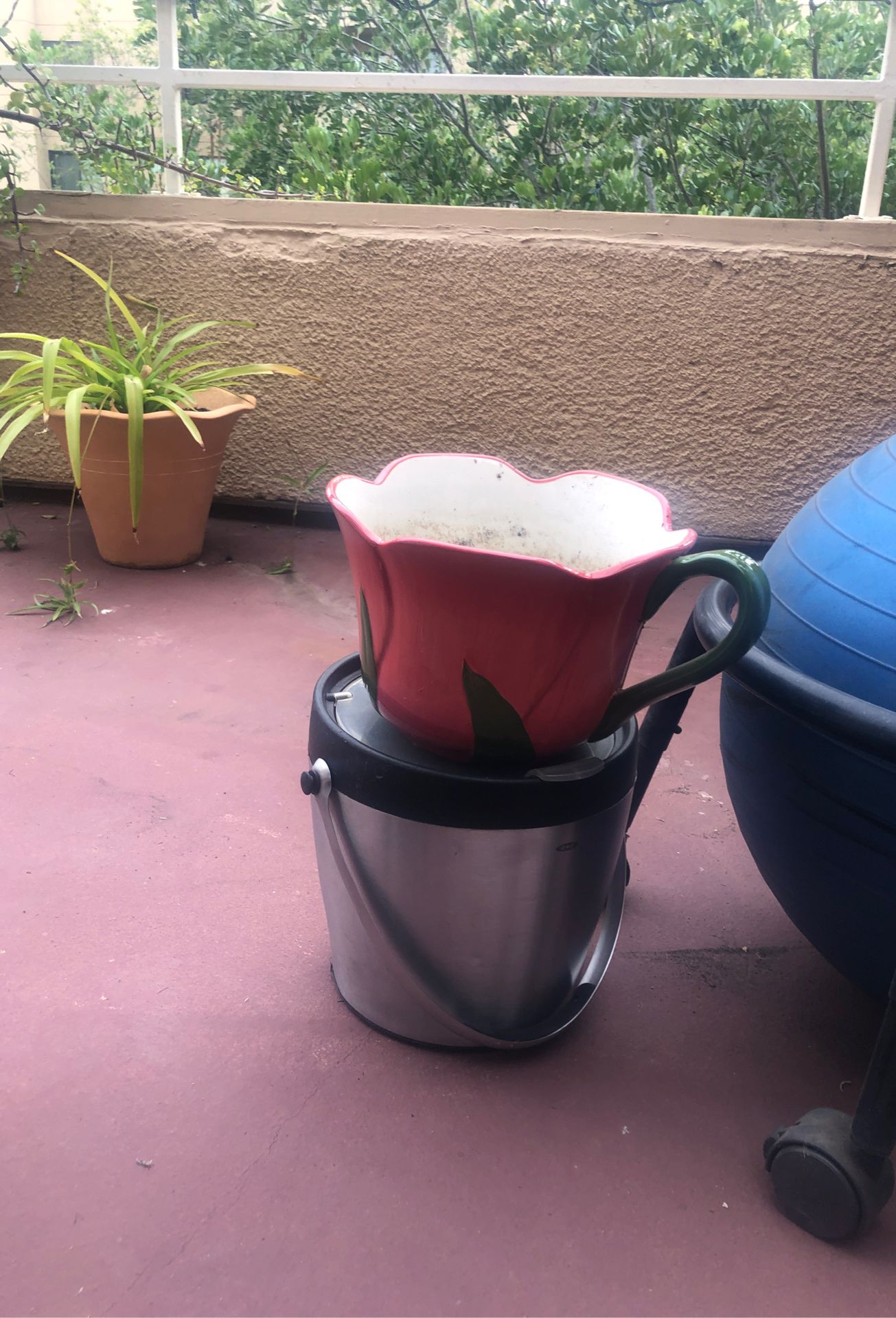 Tulip flower plant pot with water catching dish