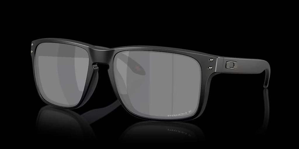 Oakley Holbrook Sunglasses XXL 