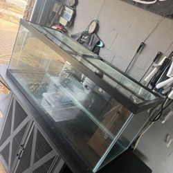 75 Gallon Aquarium 