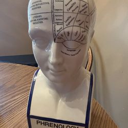 Vintage 12" Porcelain Phrenology Head Bust  by L. N. Fowler  Authentic Model Map of Brain Science Scientist  