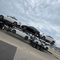 5 Car Hauler