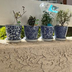 Set Of Four Herb Pots 4”x4”