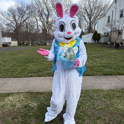 Easter Bunny Visit Or Yard Egging 