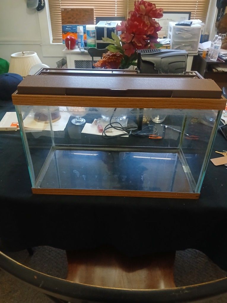 10 Gallon Fish Tank