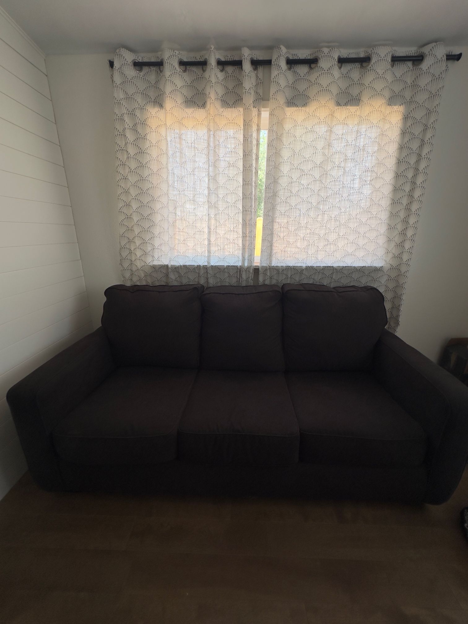 Couch With Pull Out Bed 