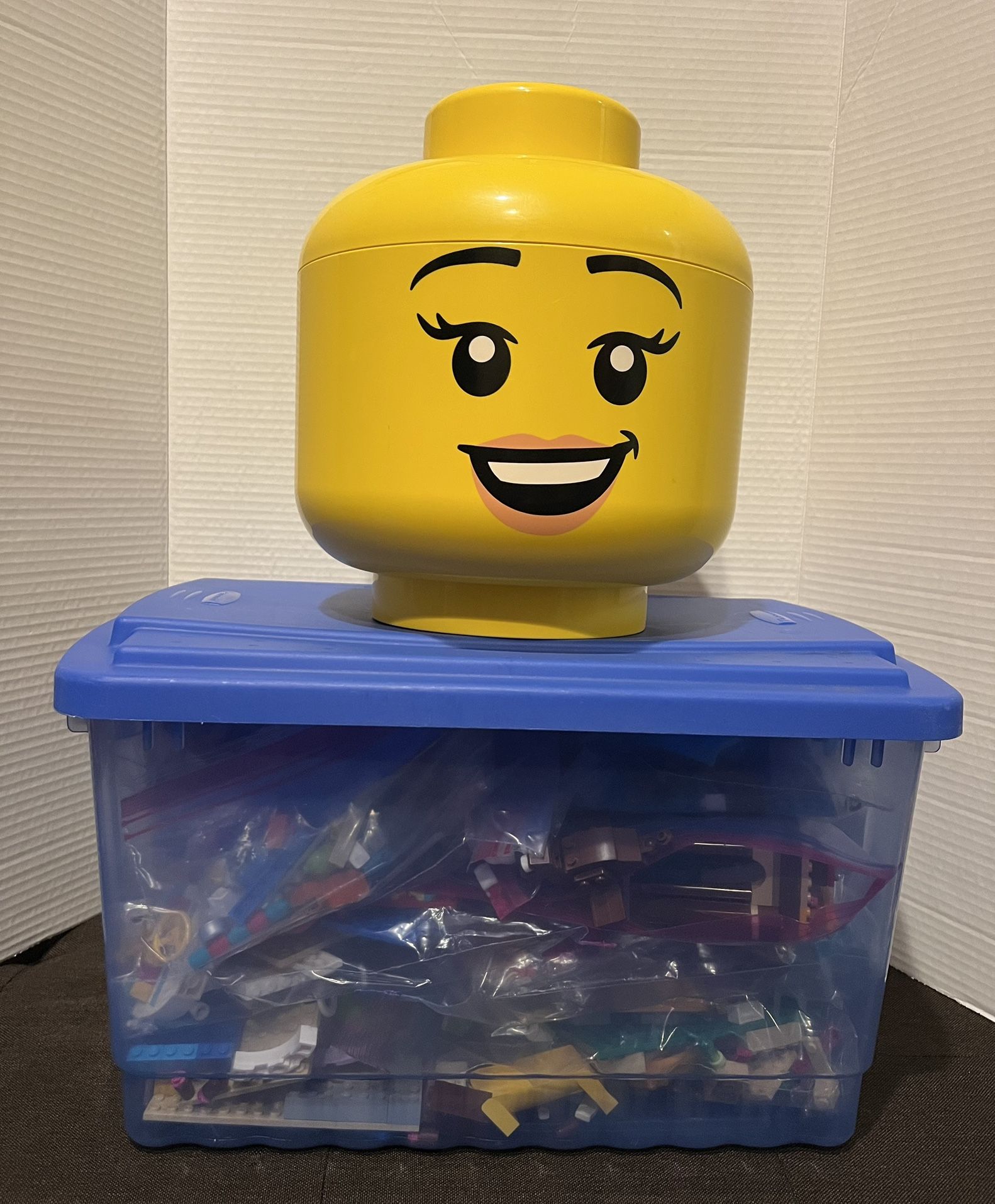 LEGO Friends With Mini Figures & Animals  