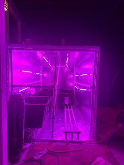 Custom grow box, forget tents