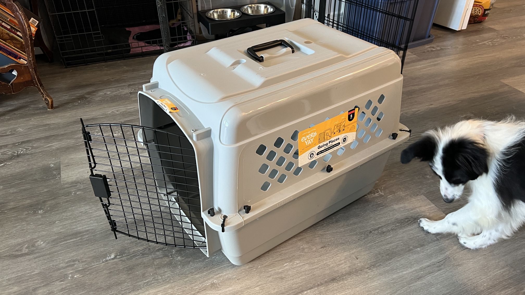 Every Yay Plastic Pet Kennel