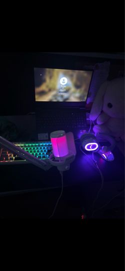 Gaming Setup (New Desk Still in Box)