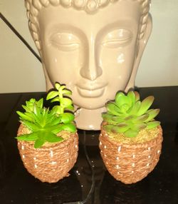 🔥🔥**$10 & LESS SUNDAY SALE**🔥🔥 mcm plants