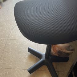 Desktop And Wheels Chair Complete