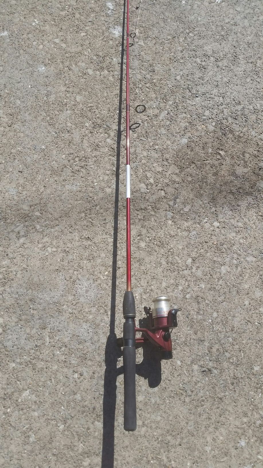 Berkley fishing rod with Quantum reel.