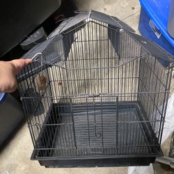 Bird Cage