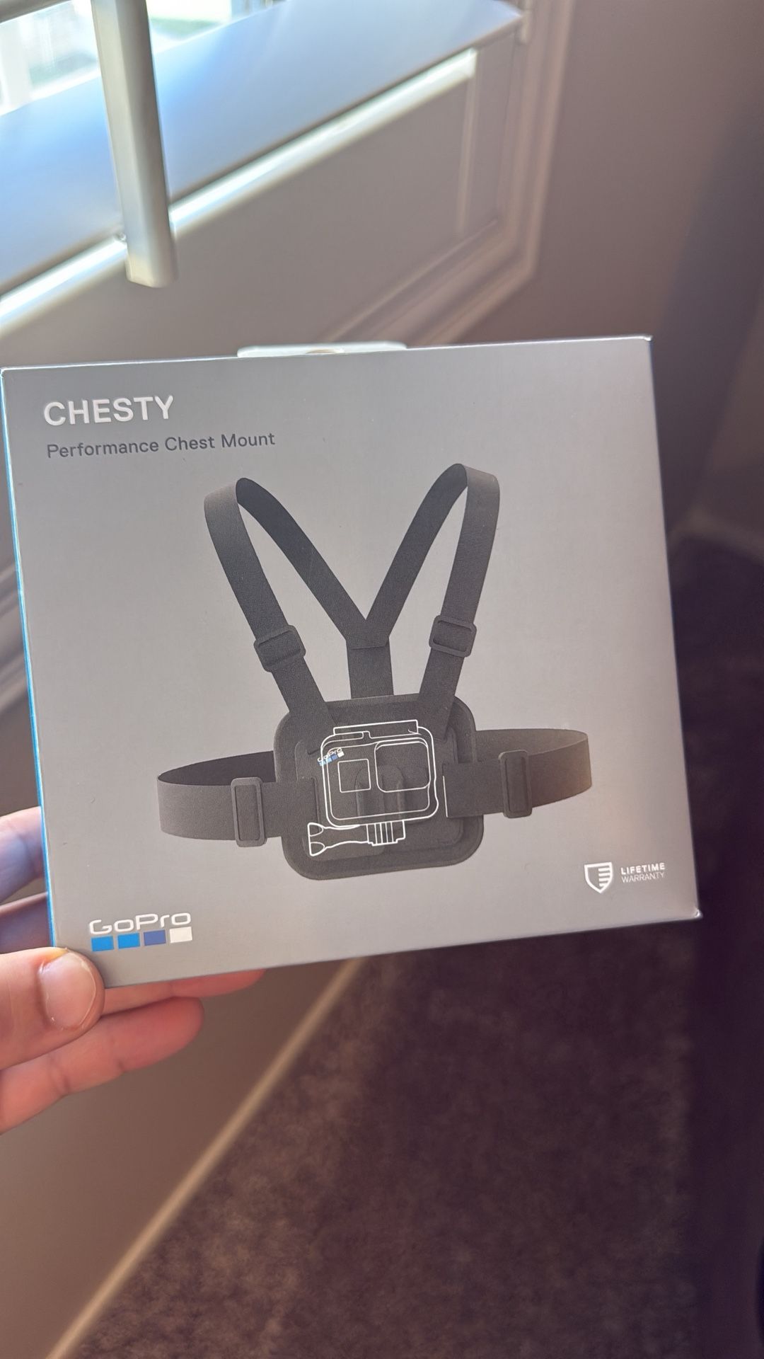 GoPro Chest Mount