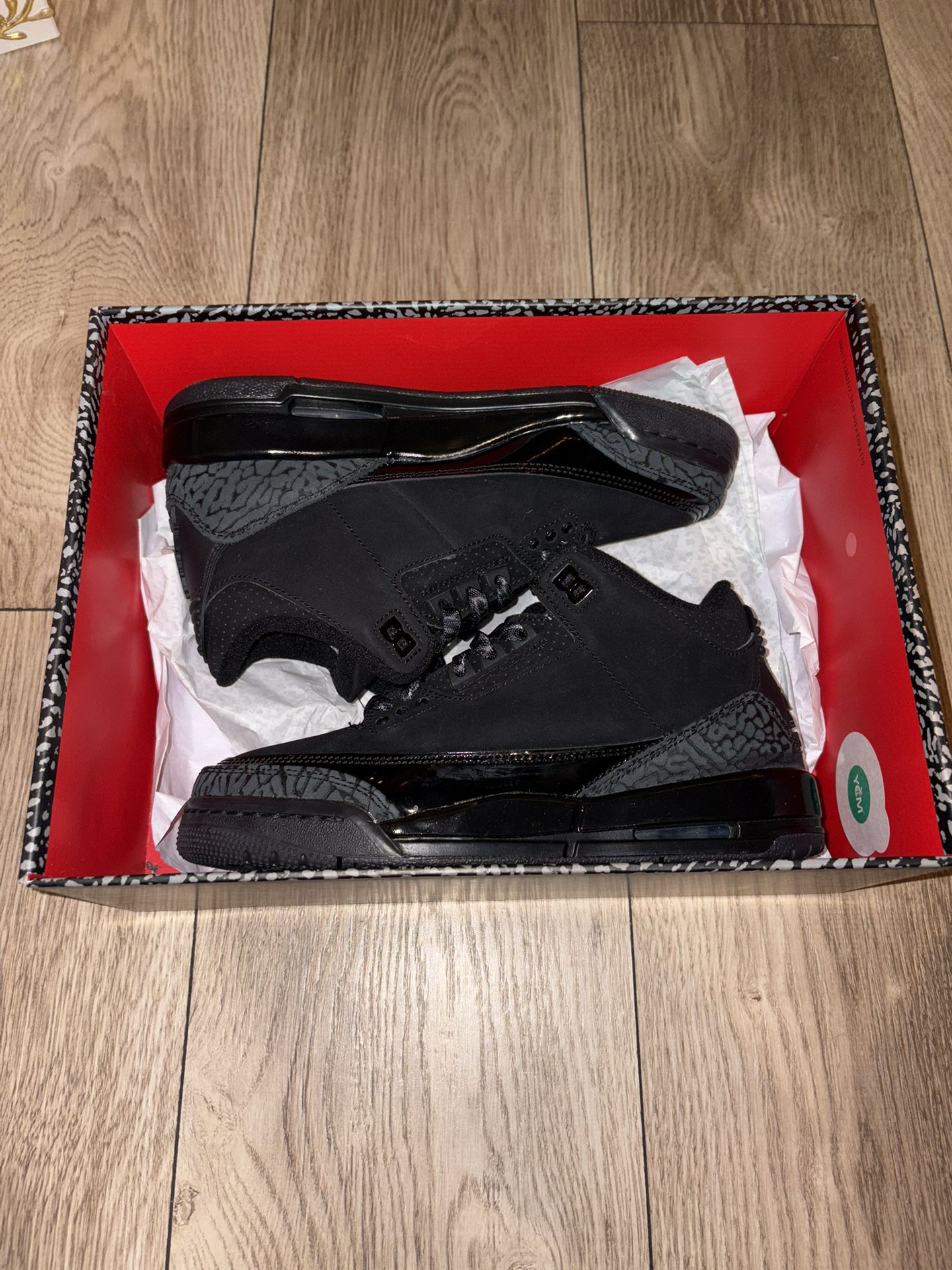 Black Cat Jordan 3’ s