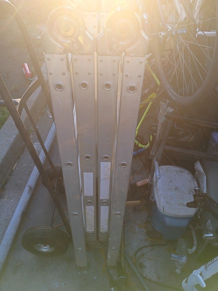 Multi Position Ladder