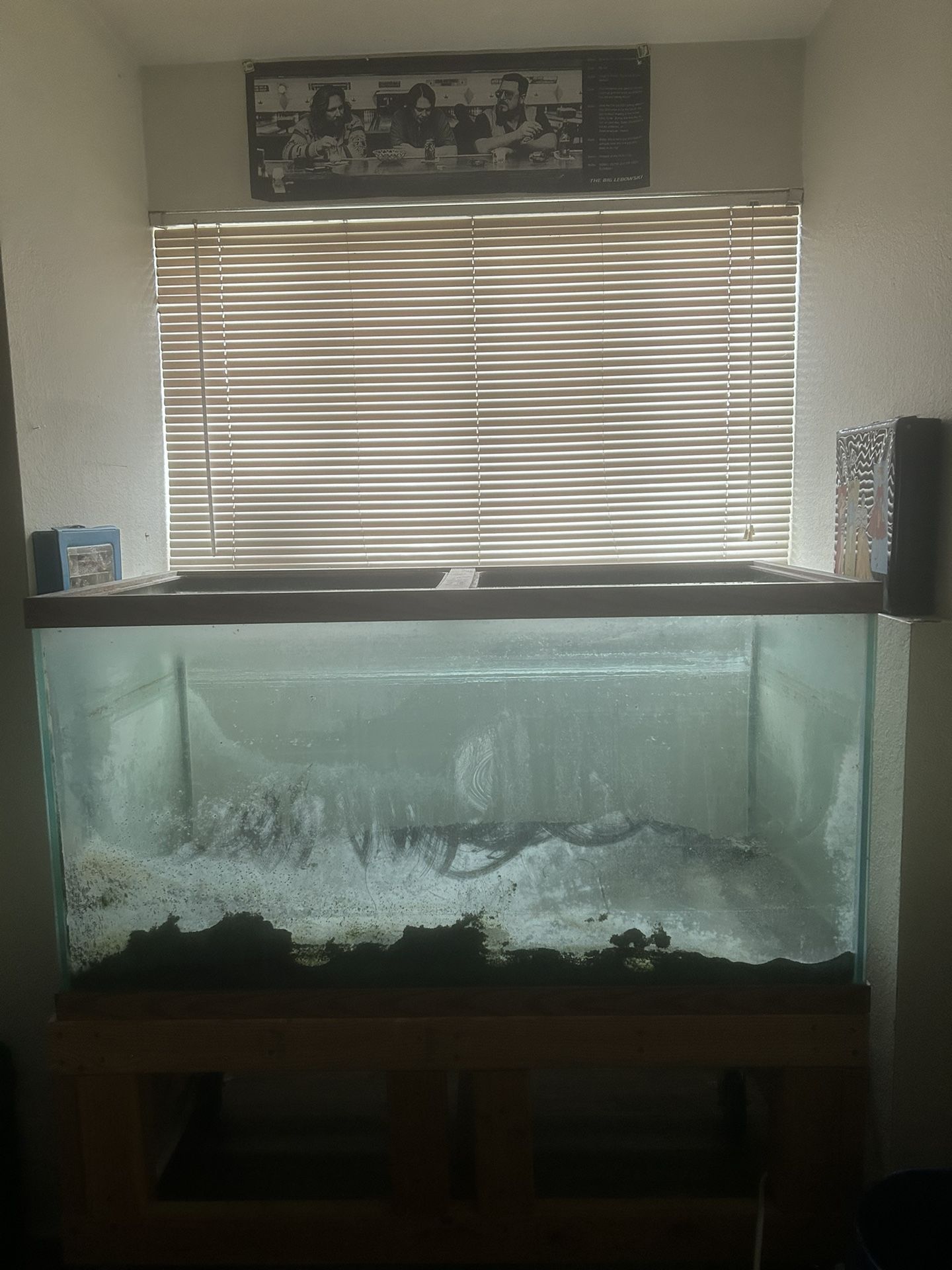 120 Gallon Fish Tank