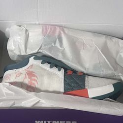 Lebron Basketball Shoes