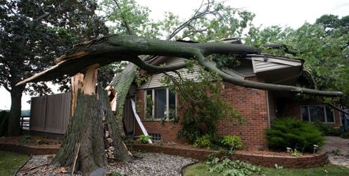 Emergency Trees