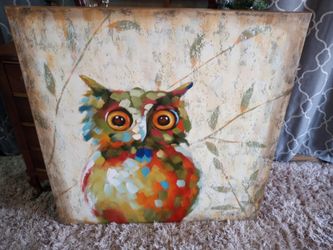 Beautiful Large Canvas Owl Picture