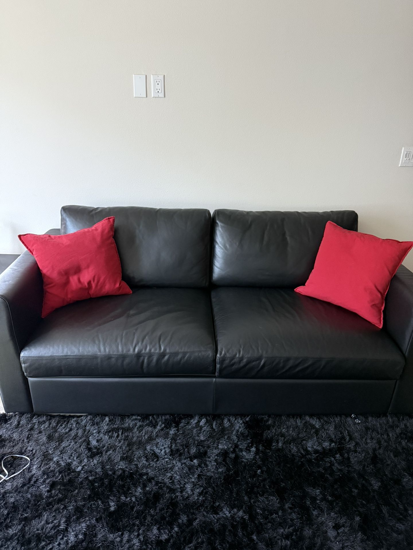 IKEA Leather Sofa With Rollaway Bed Queen