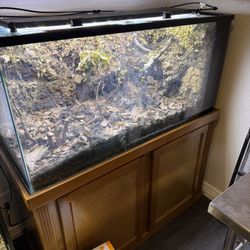 Vivarium Full Setup W/lights, misting system