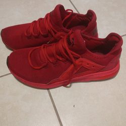 Blood Red Pumas This Cat A Killer 