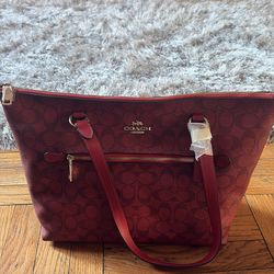 Coach bag (brand new)