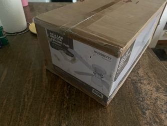 Ceiling LED fan
