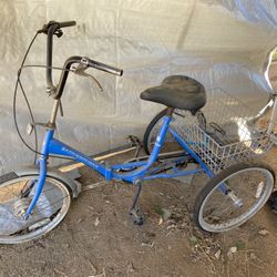 Vintage Trike 