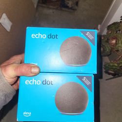 (2)5th generation echo dots