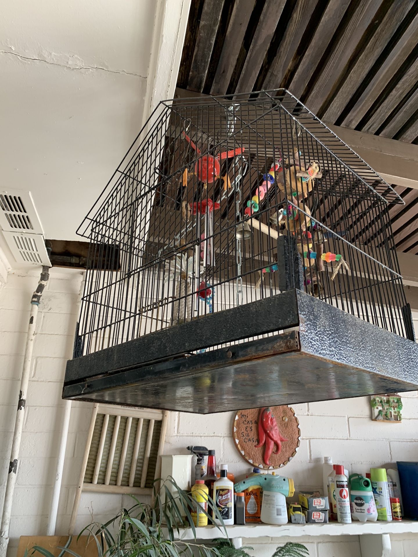 Bird Cage