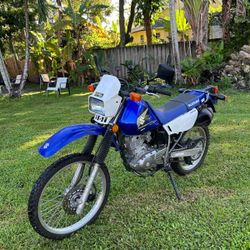 BEST OFFER Suzuki 200
